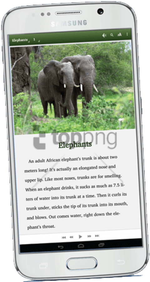 Supplying And Maintaining Well Stocked, Age Appropriate - Pair Of Elephants (277x500), Png Download