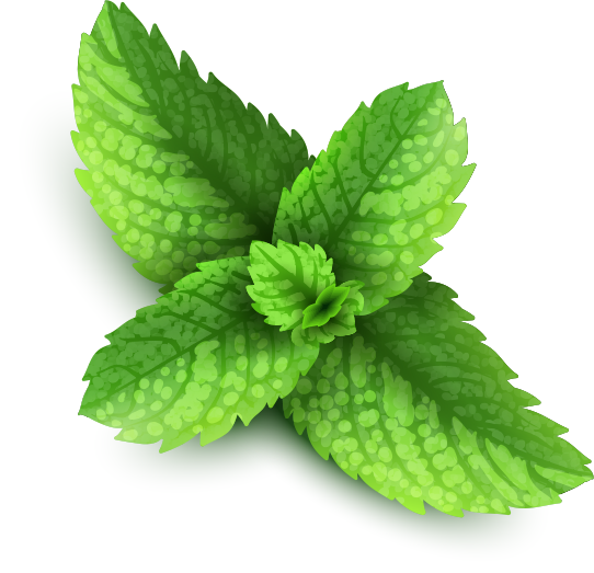 Pepermint Png - Mint Png (542x523), Png Download