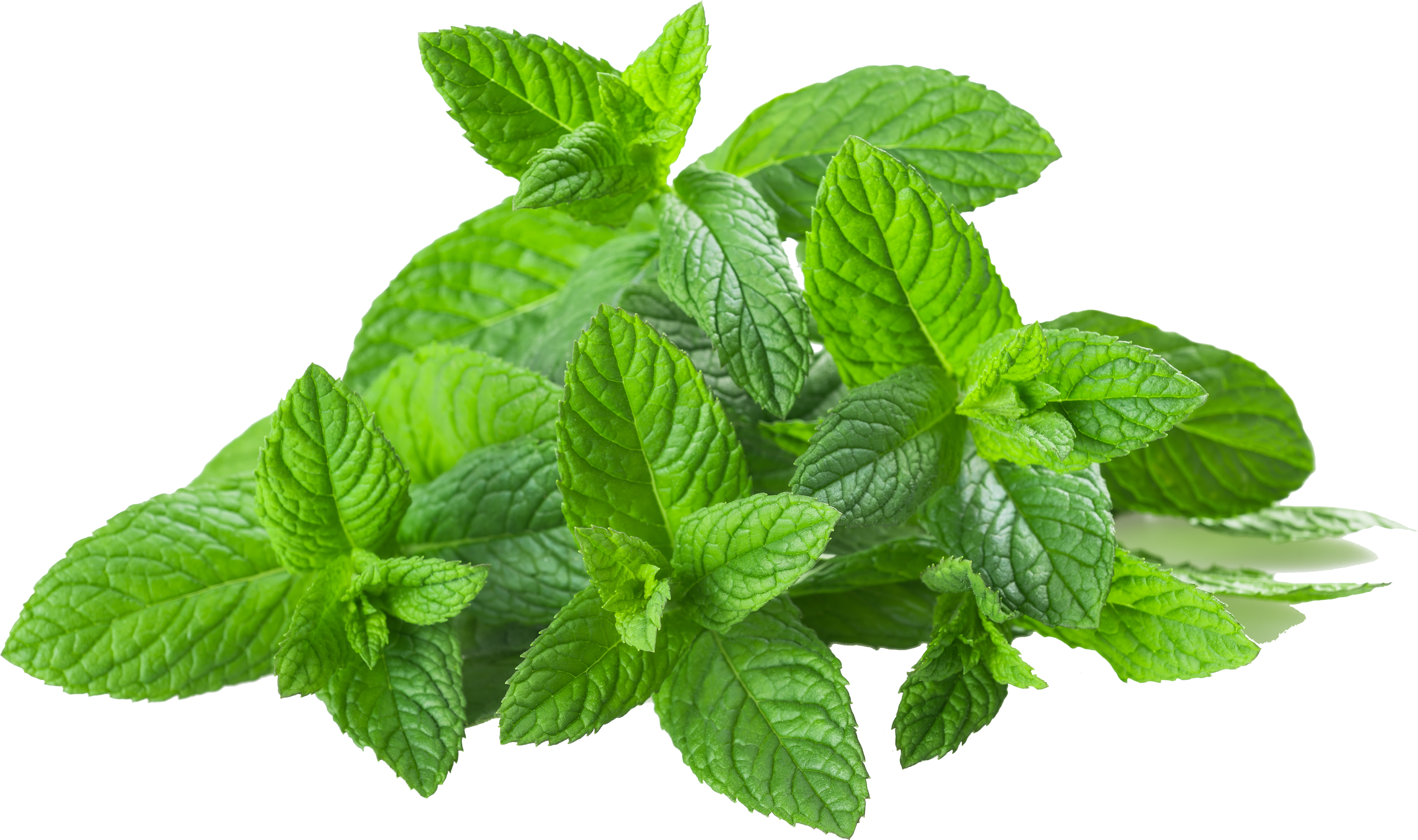 Transparent Images Pluspng Spearmintpng (7360x4912), Png Download