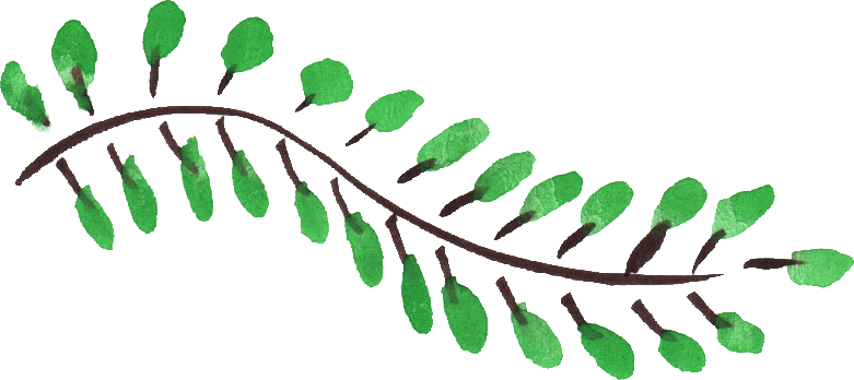 14 Watercolor Leaf Png Transparent Vol 5 Onlygfx Com - Portable Network Graphics (781x348), Png Download