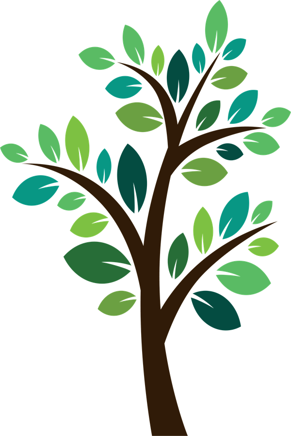 Tree - Tree Plant Clip Art (600x898), Png Download