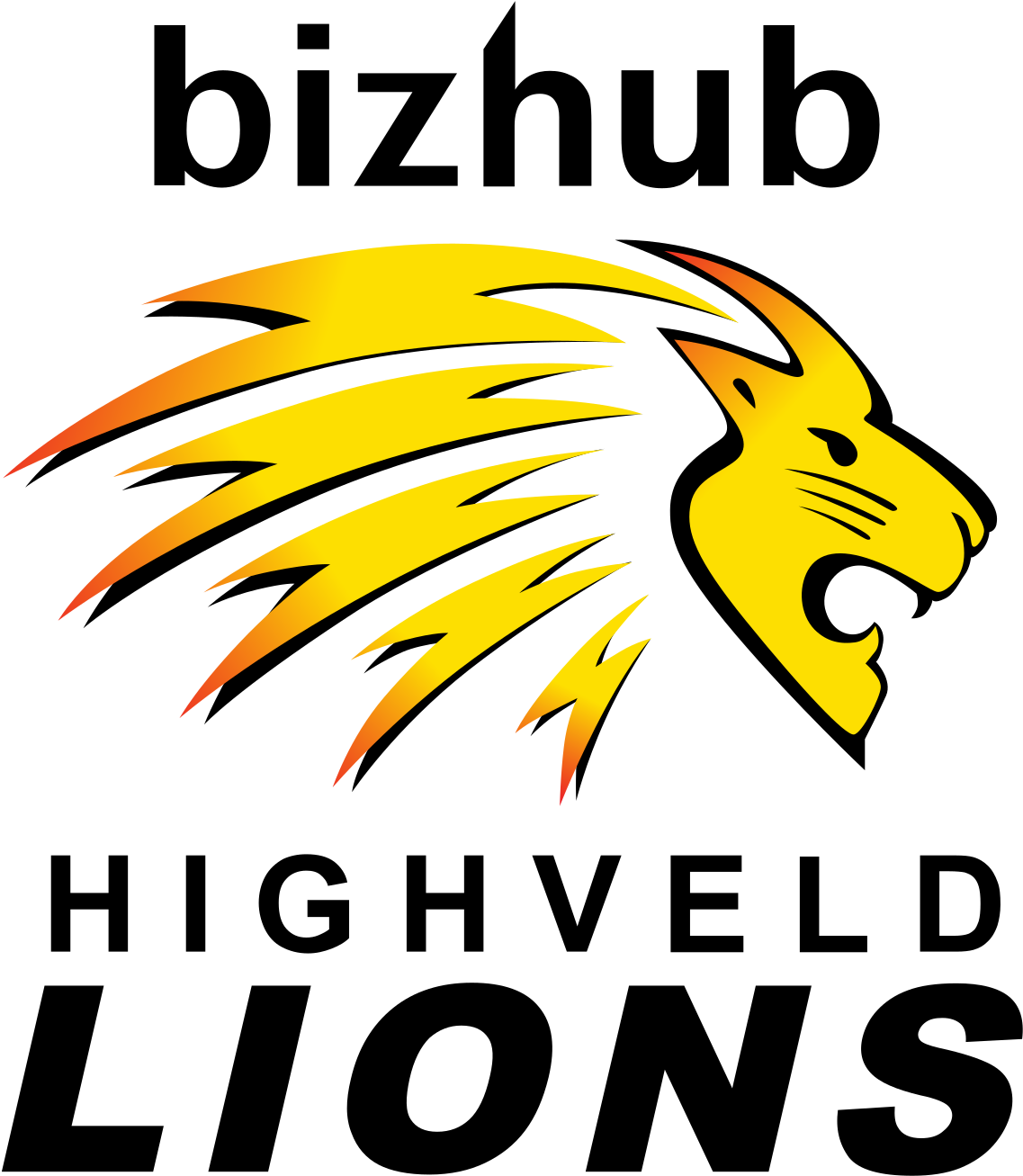 Franchise Cricket Teams In South Africa Logos (1200x1376), Png Download
