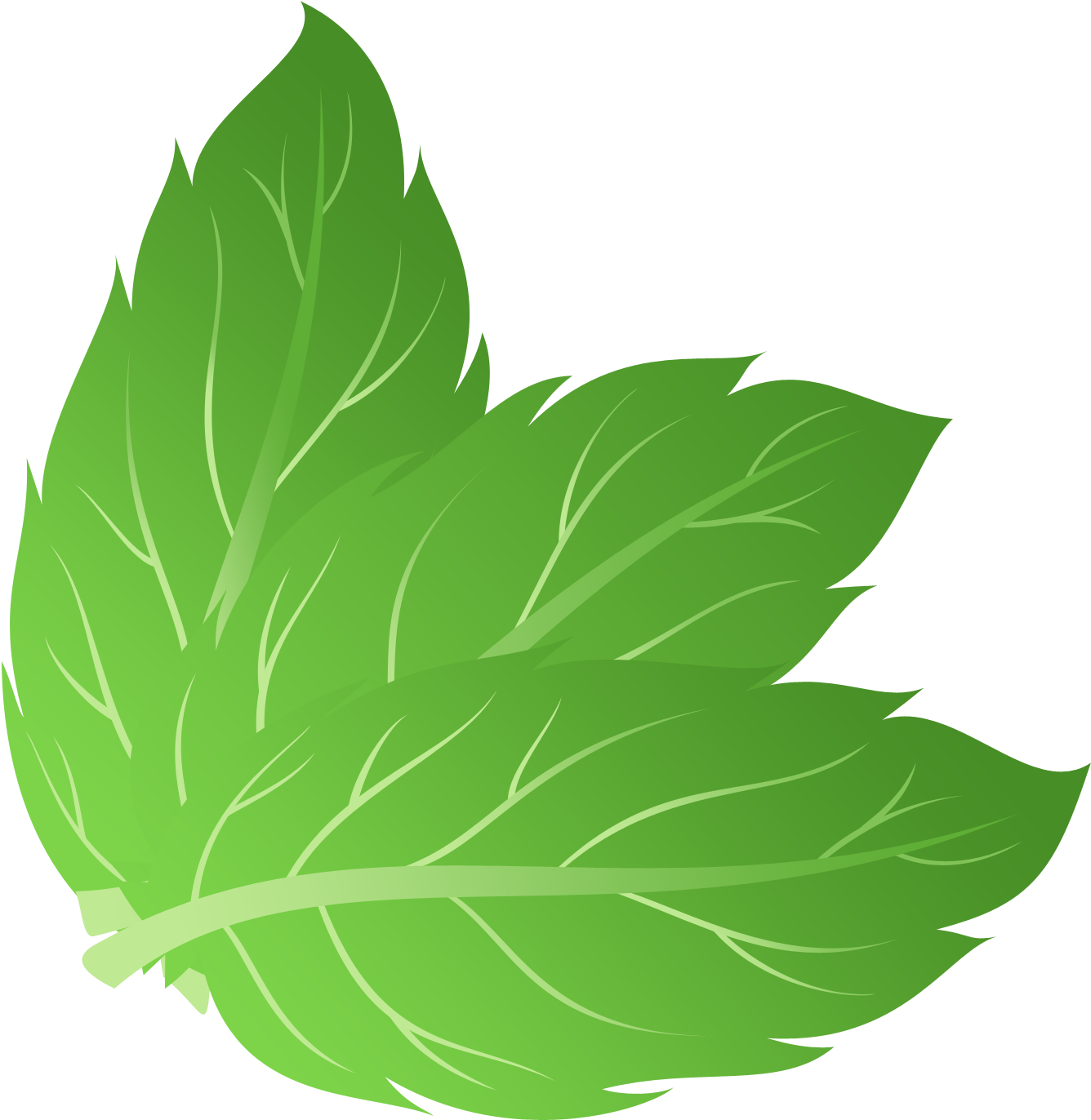 Mint Png - Mint Leaves Vector Png (1355x1394), Png Download