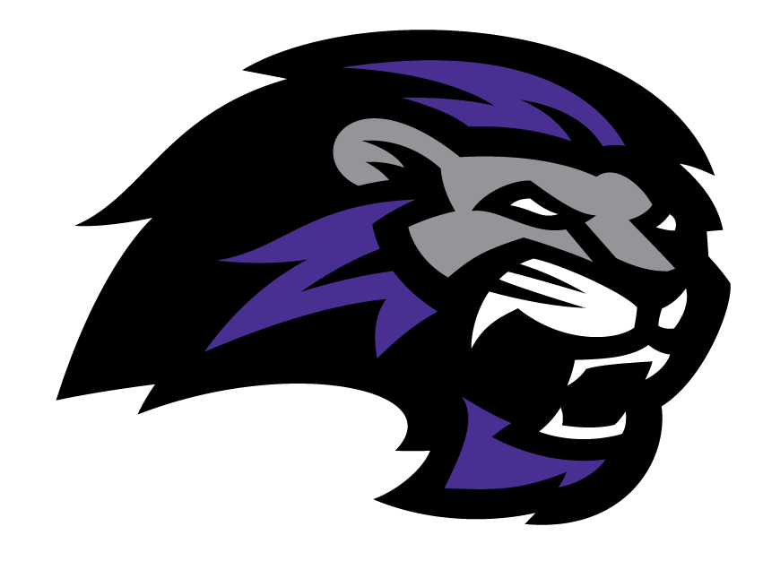 Image Result For Paine College Lions Logo - Paine College Logo (851x626), Png Download