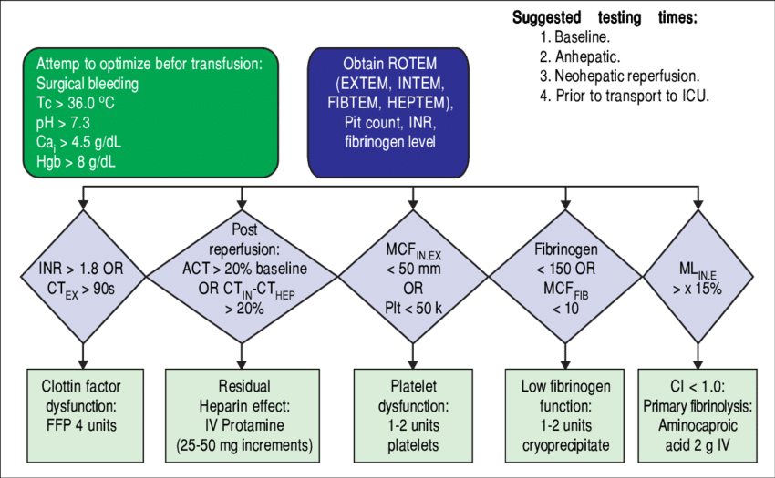 Ohio State University Liver Transplant Transfusion - Diagram (850x525), Png Download