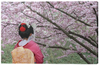 Geisha And Blooming Sakura Tree Canvas Print • Pixers® - Japanese Old Festival With Cherry Blossoms (400x400), Png Download