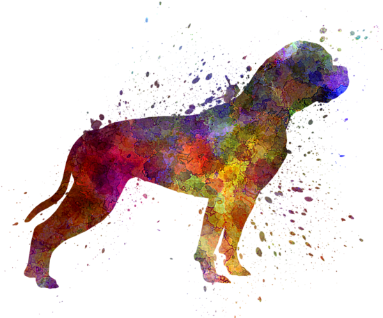 Click And Drag To Re-position The Image, If Desired - Designart 'american Bulldog' Painting Print On Metal (600x480), Png Download