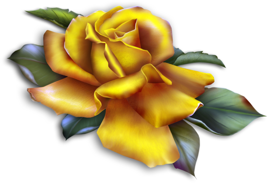 Clipart Yellow Roses (1024x705), Png Download