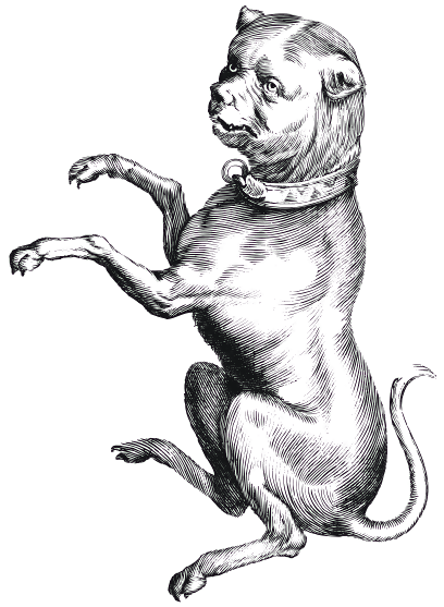 This Graphics Is A Strange Dog About - Constellation (800x618), Png Download