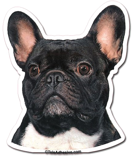 Bulldog Transparent Images - French Bulldog Dog Portrait Counted Cross Stitch Pattern (600x600), Png Download