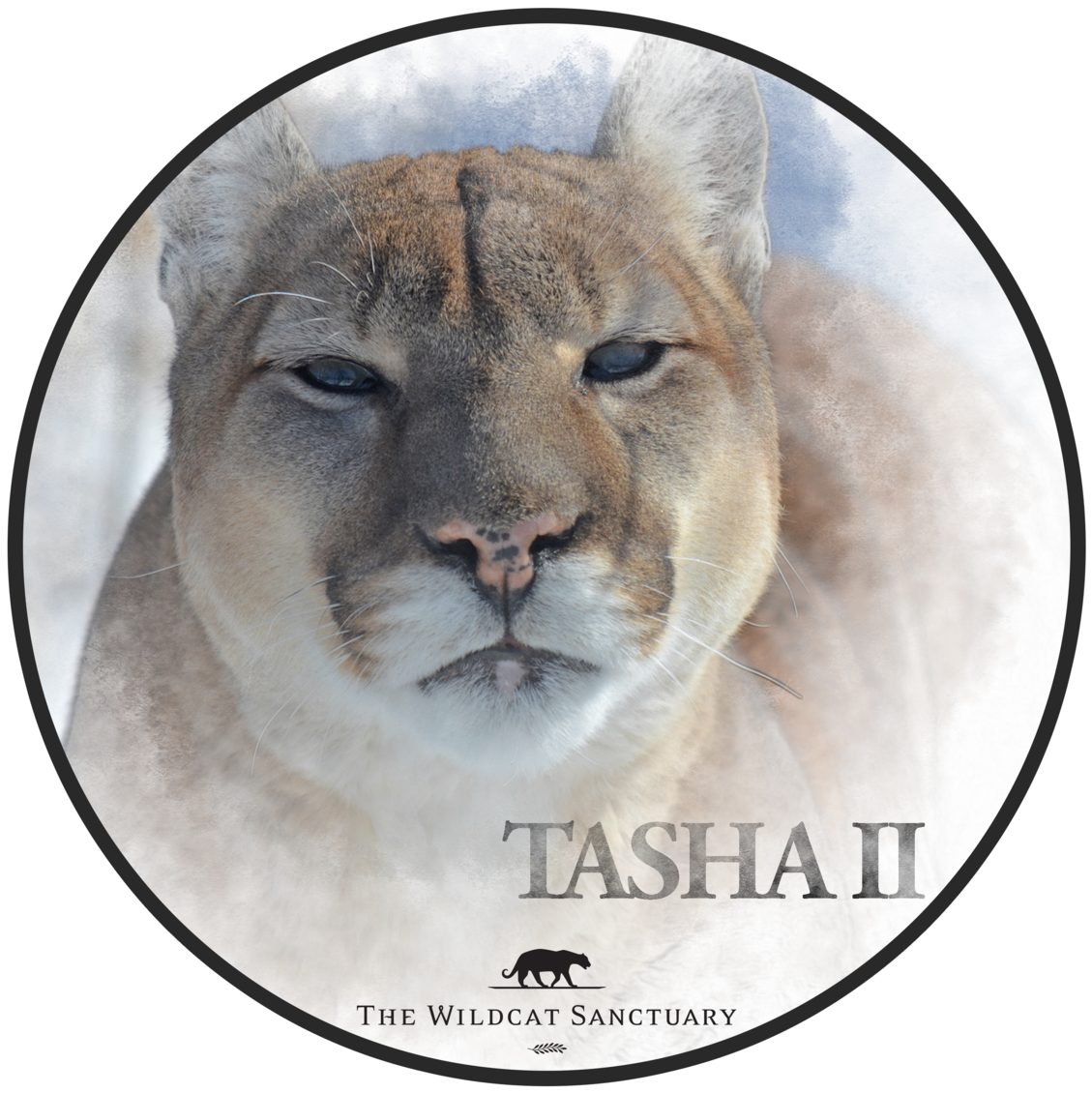 Leupold Vx R Reticles (1200x1200), Png Download