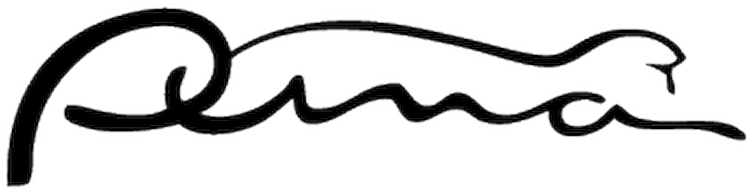 Ford Puma Logo (800x800), Png Download