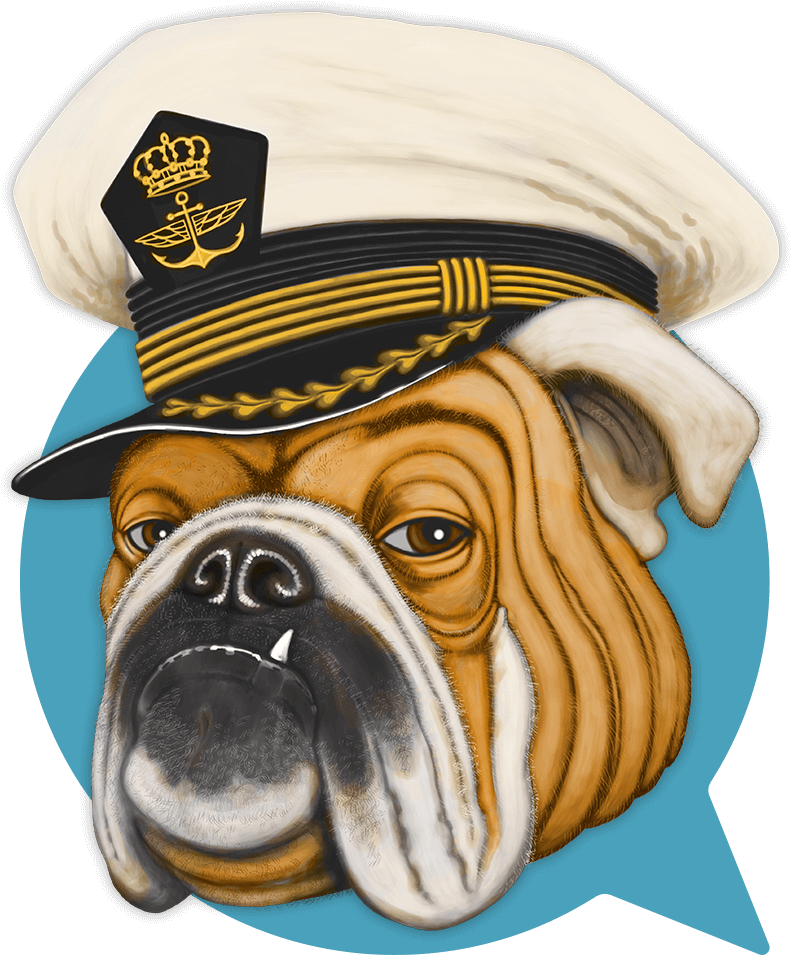 Bulldog And Partners - Dog (1000x1000), Png Download