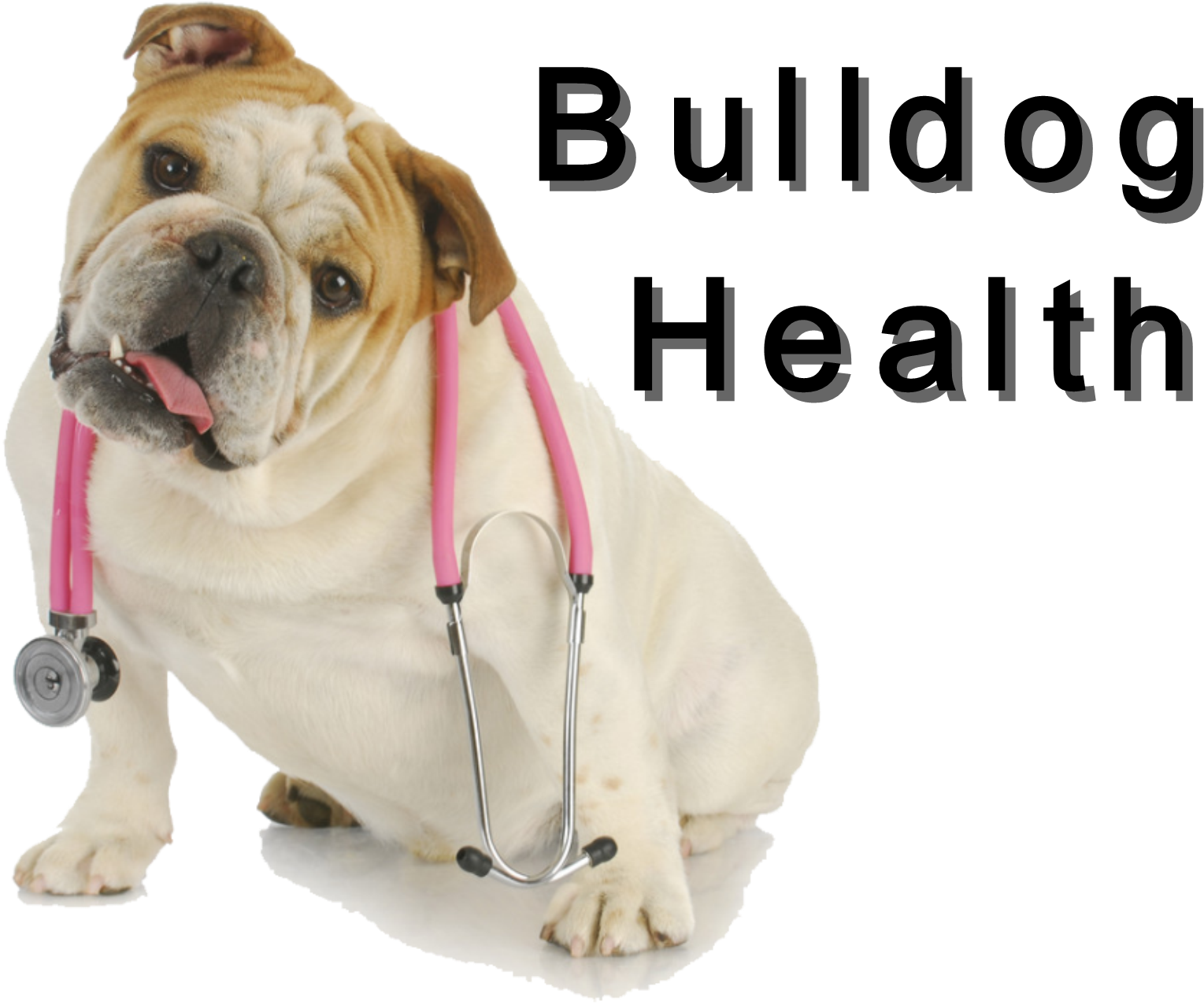 Bulldog Club Of America National Specialty Show Full - Veterinary Care - English Bulldog Wi Round Coaster (1800x1289), Png Download