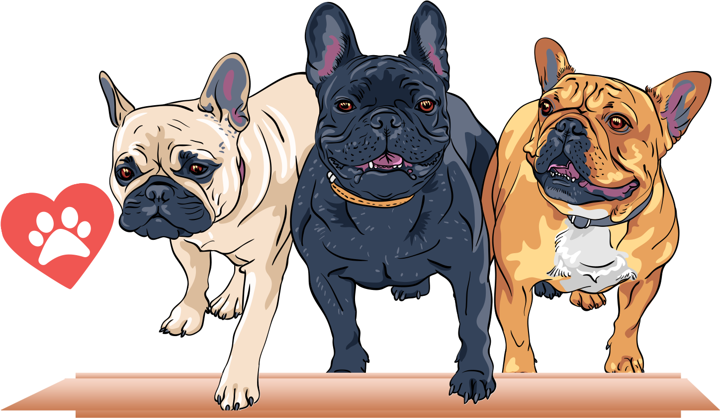 French Bulldog T - Too Hard To Look Back And You Re Too Afraid To Look (1528x1000), Png Download