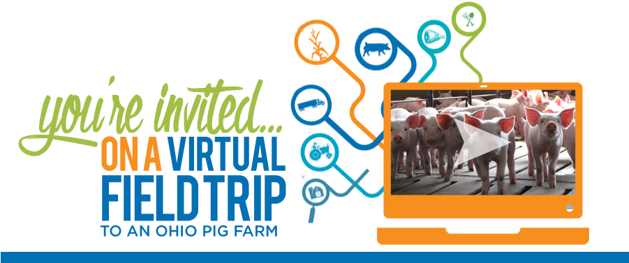You're Invited On A Virtual Field Trip To An Ohio Pig - Salt River Fields At Talking (900x388), Png Download