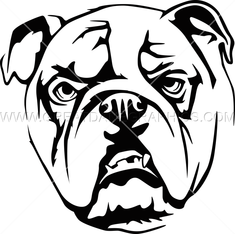 Tan Bulldog - Olde English Bulldogge (825x822), Png Download