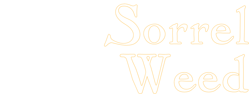 Ghost Tours - Savannah (890x355), Png Download