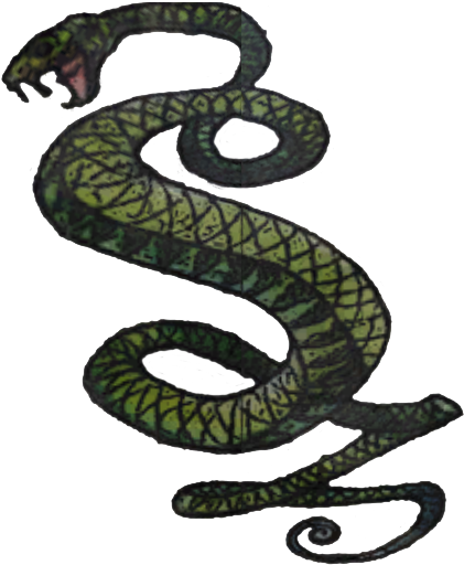 Drawn Snake Snake Png - Tunnel Snakes (442x537), Png Download