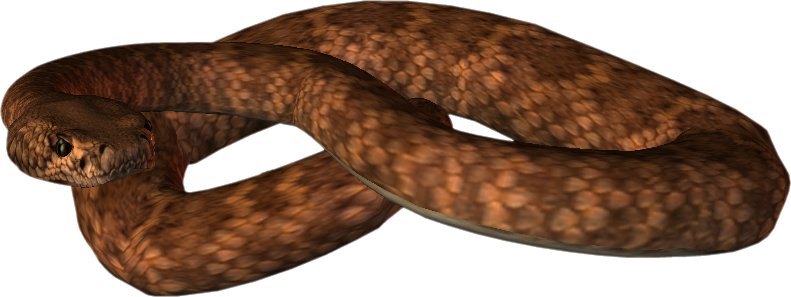 Free Png Animated Snake Png Images Transparent - Common Brown Snake Png (850x320), Png Download