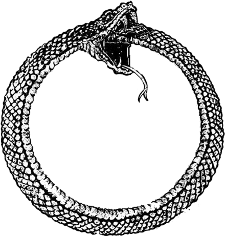 My Birth Year Being The Year Of The Snake, I Was Attracted - Snake Circle (460x460), Png Download