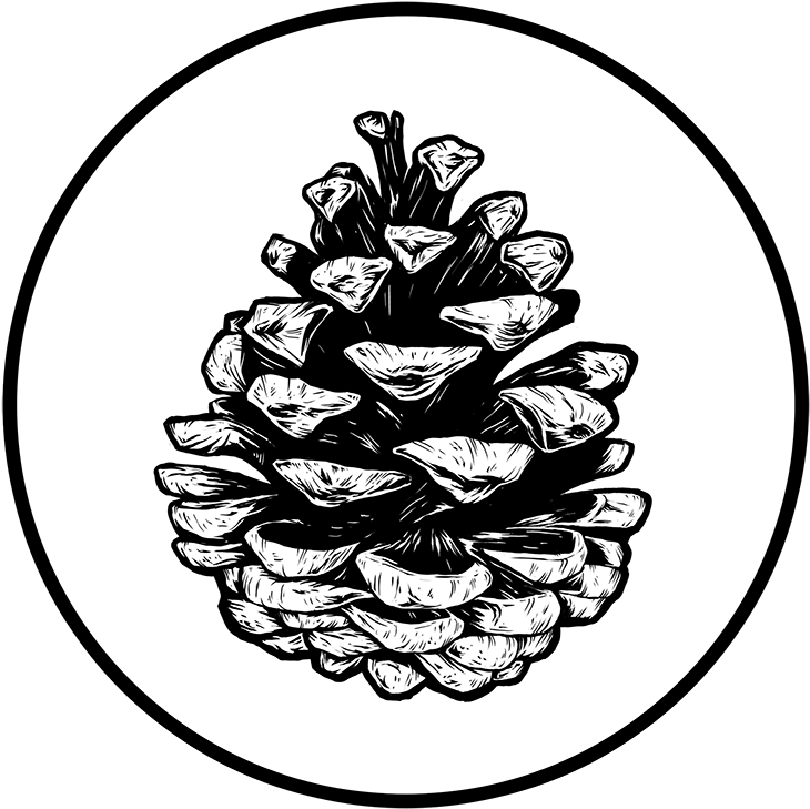 Illustrator (800x800), Png Download