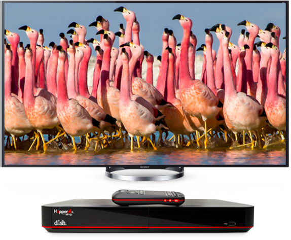 Download Free Hd Channels With Dish Tv Offers David Attenborough Planet Earth Scene Png Image With No Background Pngkey Com