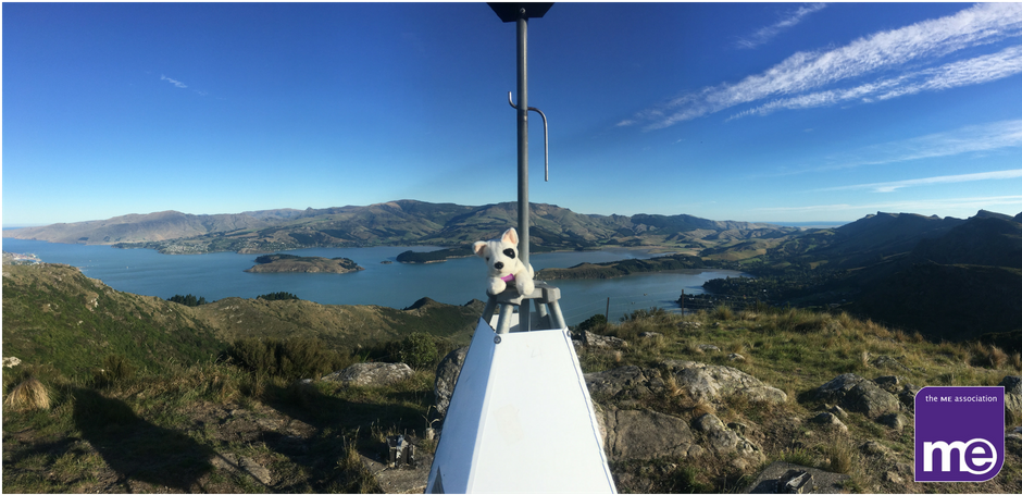 A Fond Farewell To Foggy - Summit (940x788), Png Download