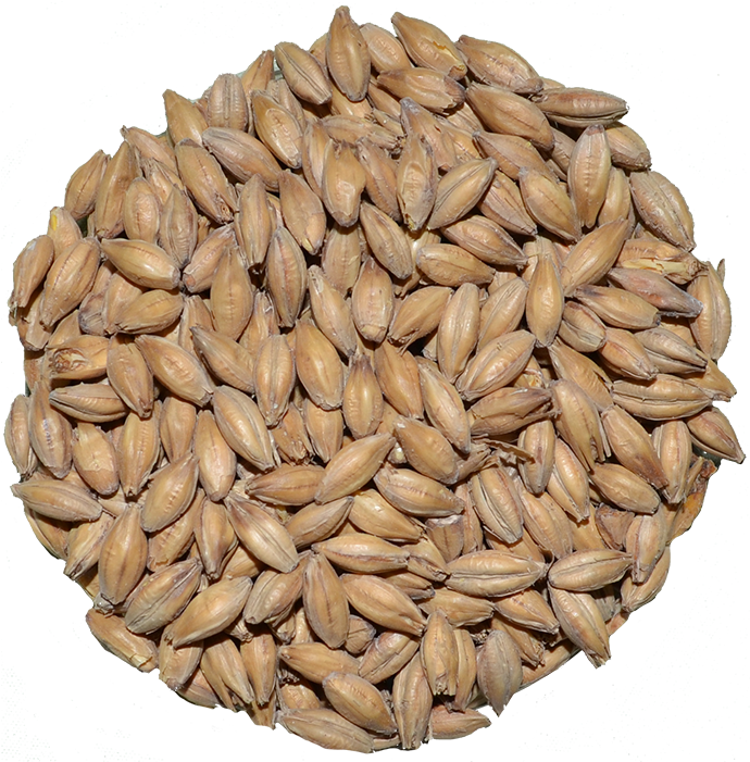 Maris Otter (700x700), Png Download