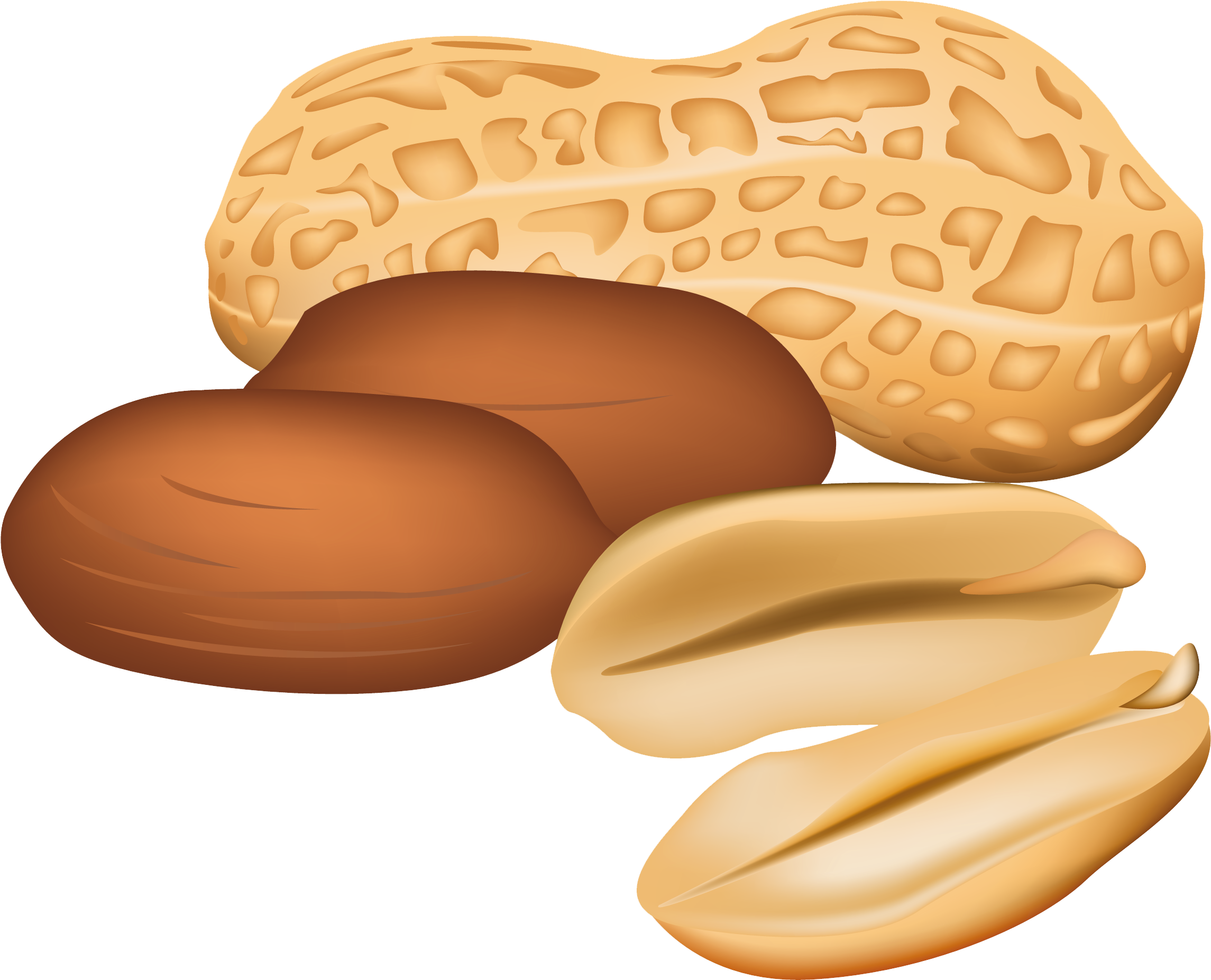 Peanuts Png Clipart Picture - Clip Art Nuts (2545x2094), Png Download