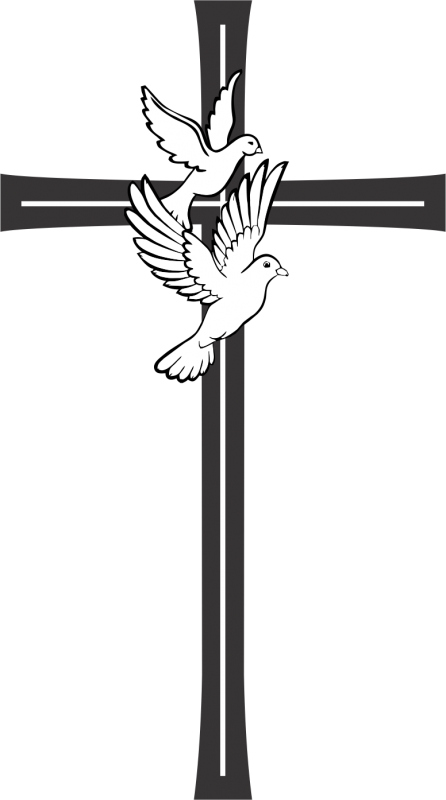 Download Related Wallpapers Dove On The Cross Png Image With No Background Pngkey Com