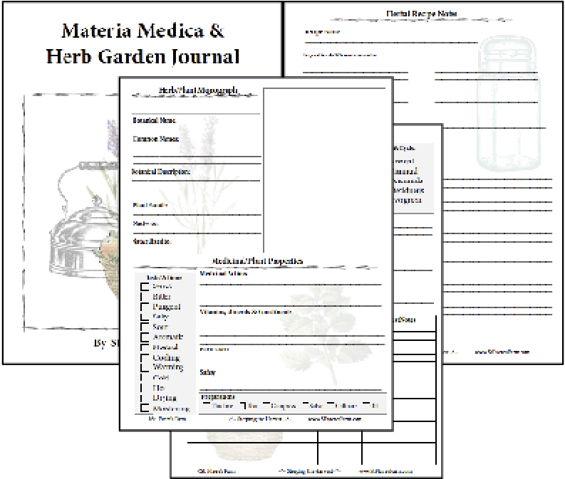 Record All These Wonderful Bachelor Button Facts On (808x684), Png Download