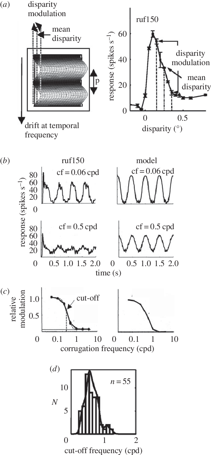 Use Of Disparity Corrugations To Estimate The Binocular (680x1467), Png Download