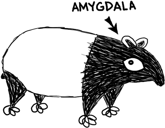 Amygdalatapir (670x532), Png Download