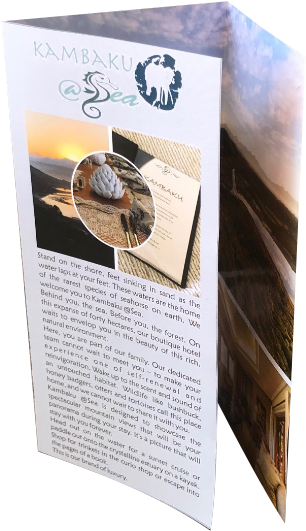 A4 Folded To Dl (729x602), Png Download