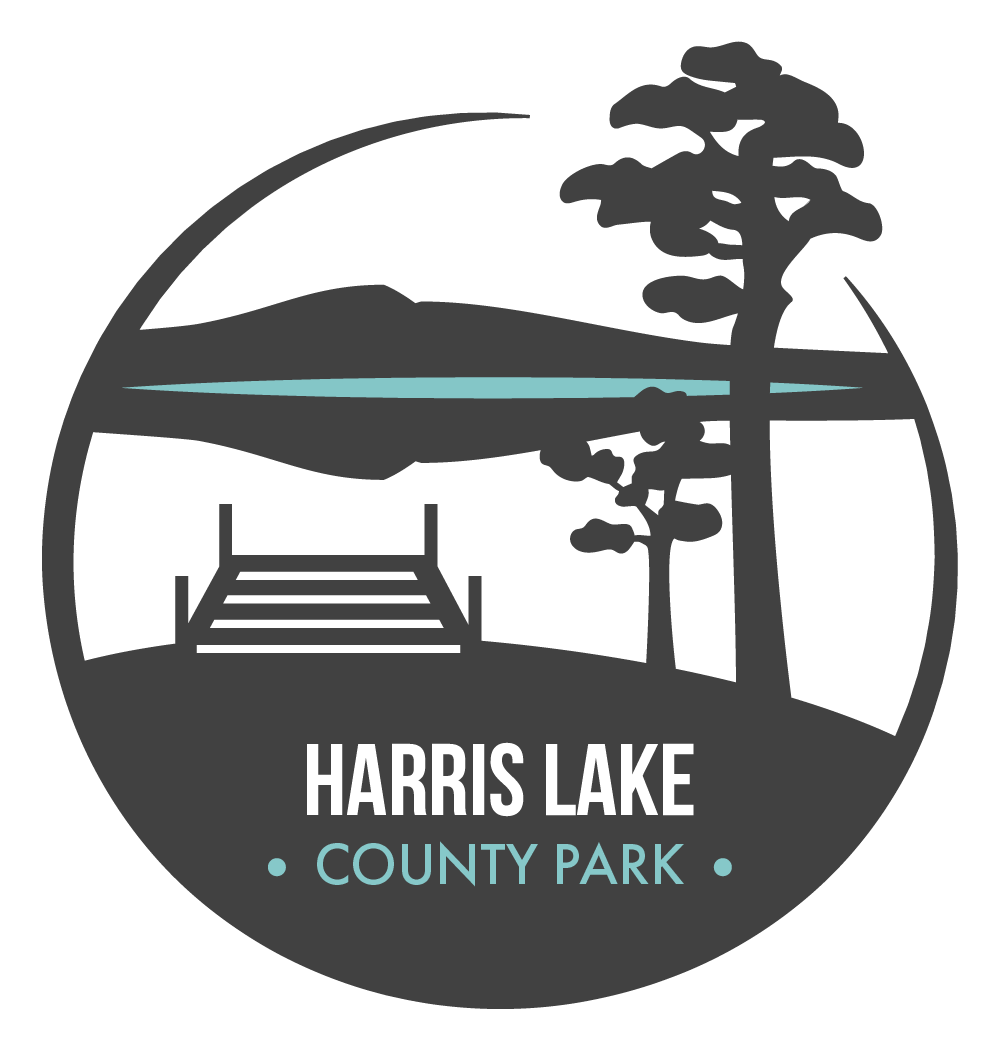 Hl White Border (1000x1051), Png Download