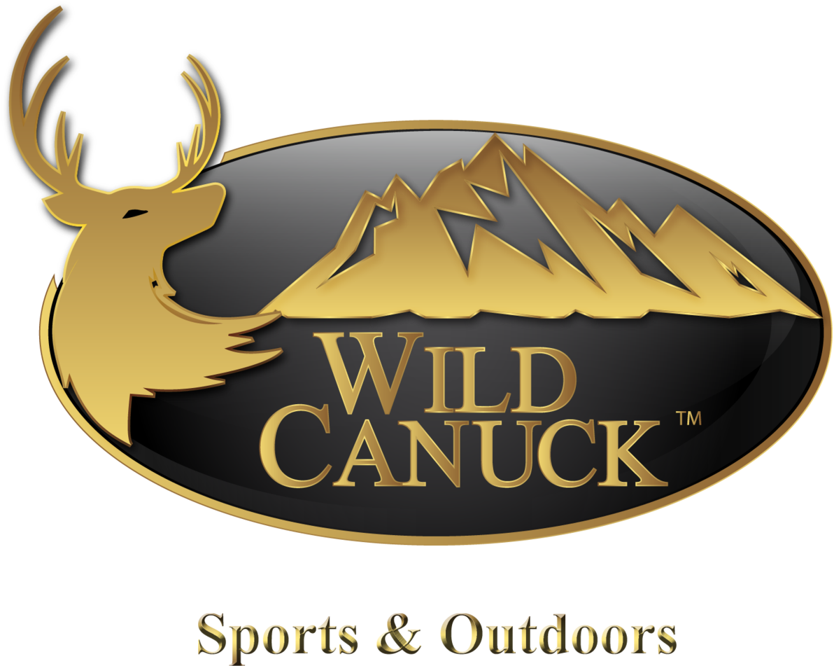 Canucks Logo Png (1200x955), Png Download