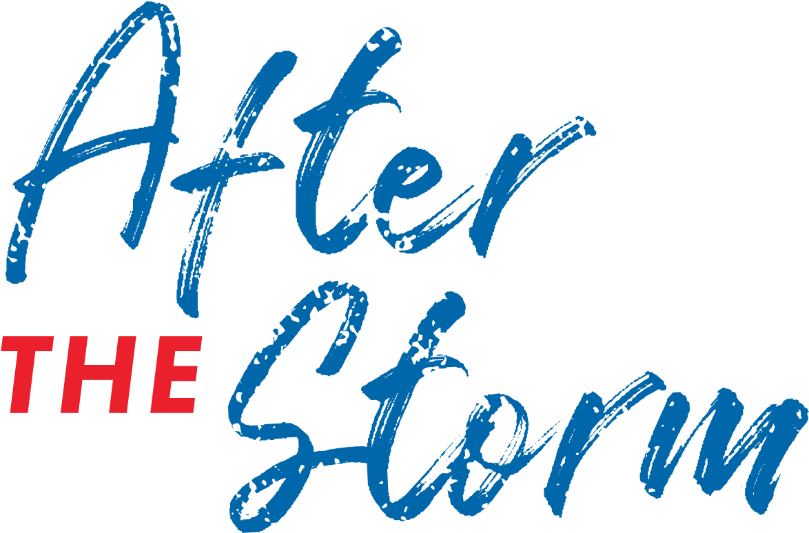 Looking At The Impact Of Hurricane Maria, One Year (2000x1000), Png Download