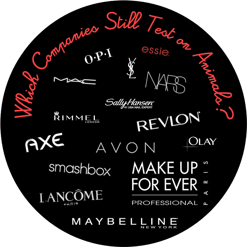 Companies That Test On Animals (842x838), Png Download