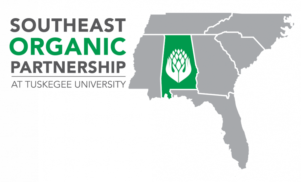 Welcome (1000x604), Png Download