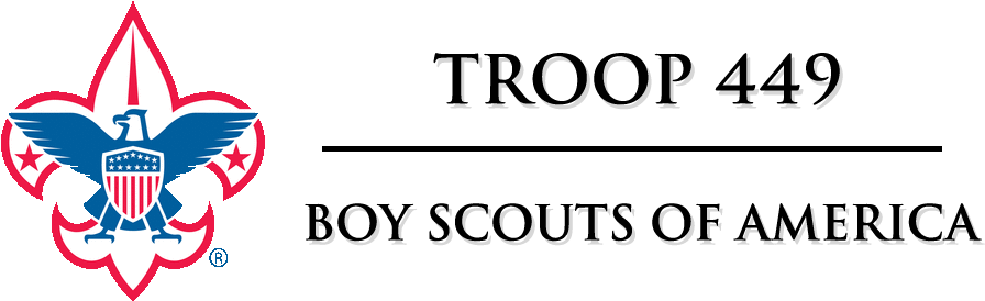 Boy Scouts Troop (940x600), Png Download