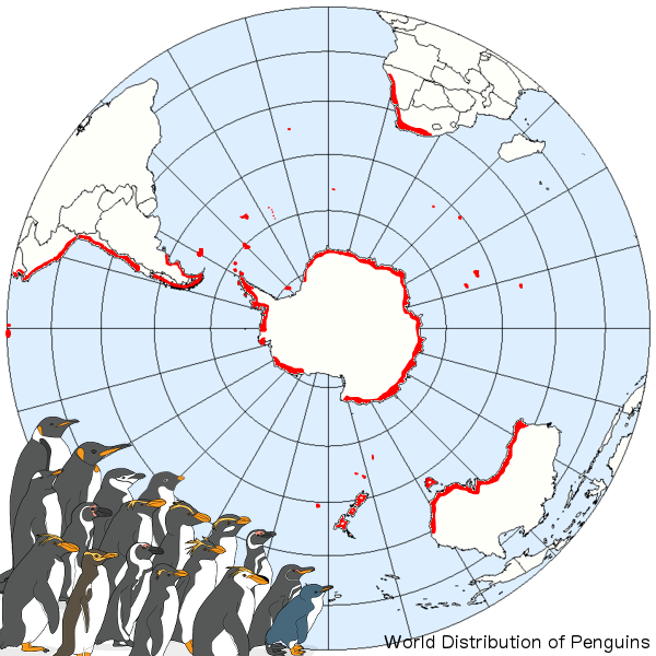 Penguins (600x600), Png Download