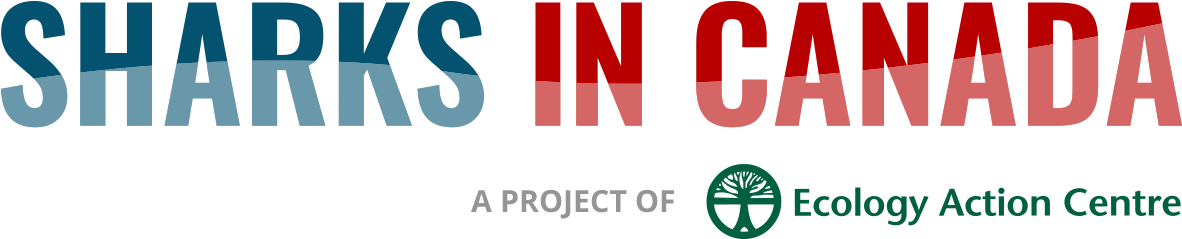 Sharks In Canada Eac (1200x268), Png Download