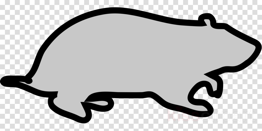 Clip Art Clipart Hamster Cat Clip Art (900x450), Png Download
