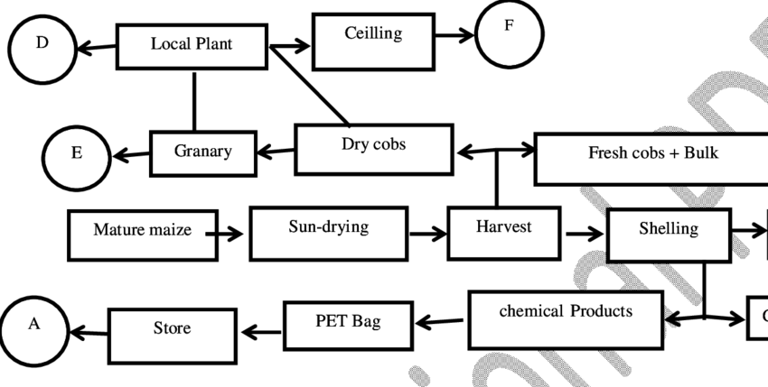 Maize Storage Technologies Identified (850x429), Png Download