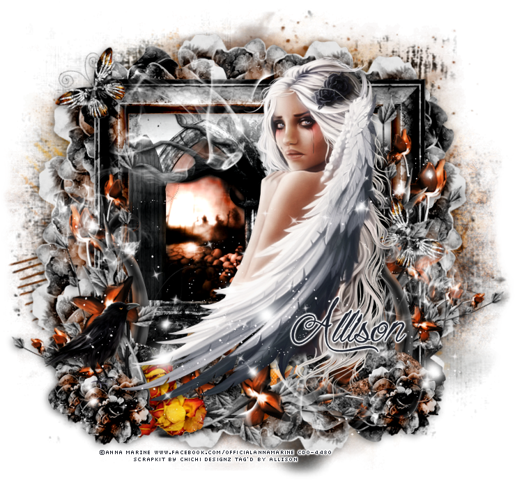 Tag Show Off (760x700), Png Download