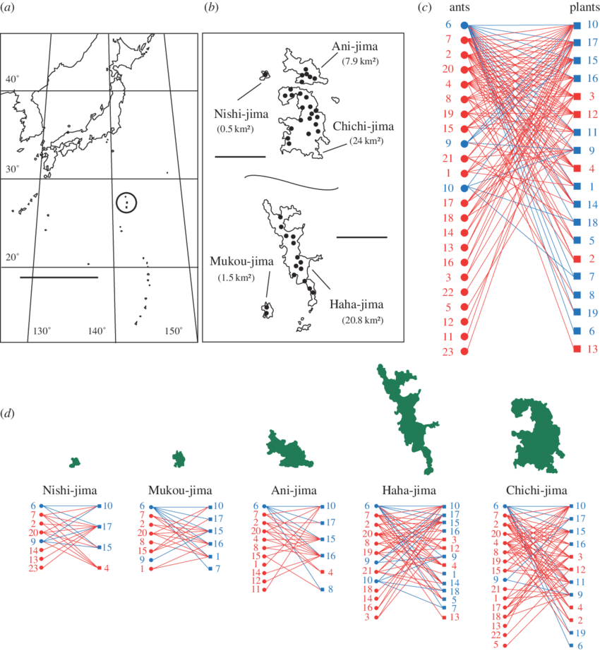 Study Sites On Chichi Jima, Ani Jima, Nishi Jima, Hahajima (850x922), Png Download