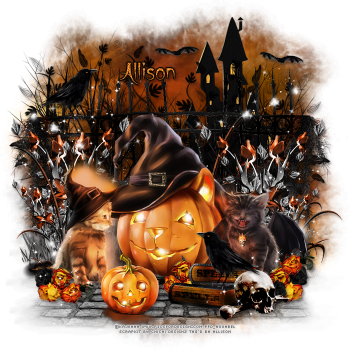 Ct Tag Show Off (700x700), Png Download