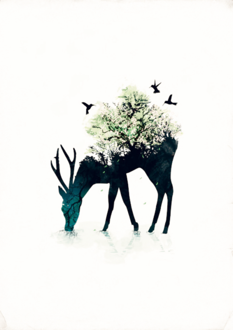 Moose Silhouette Png (480x678), Png Download