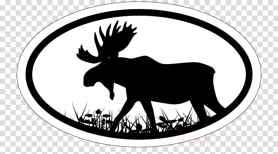 Abf Logga Clipart Moose Cattle Logo (900x500), Png Download